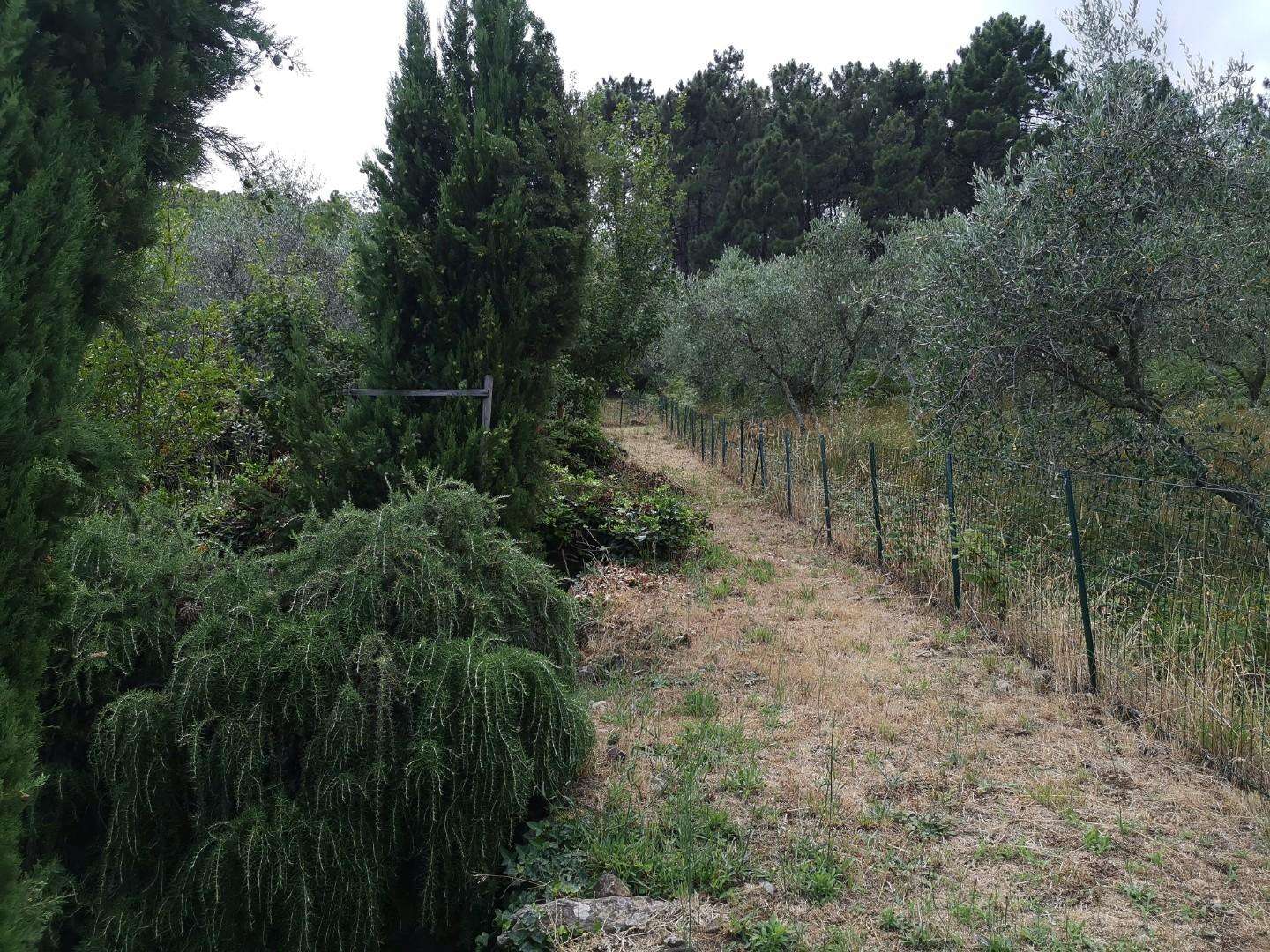 - foto 14