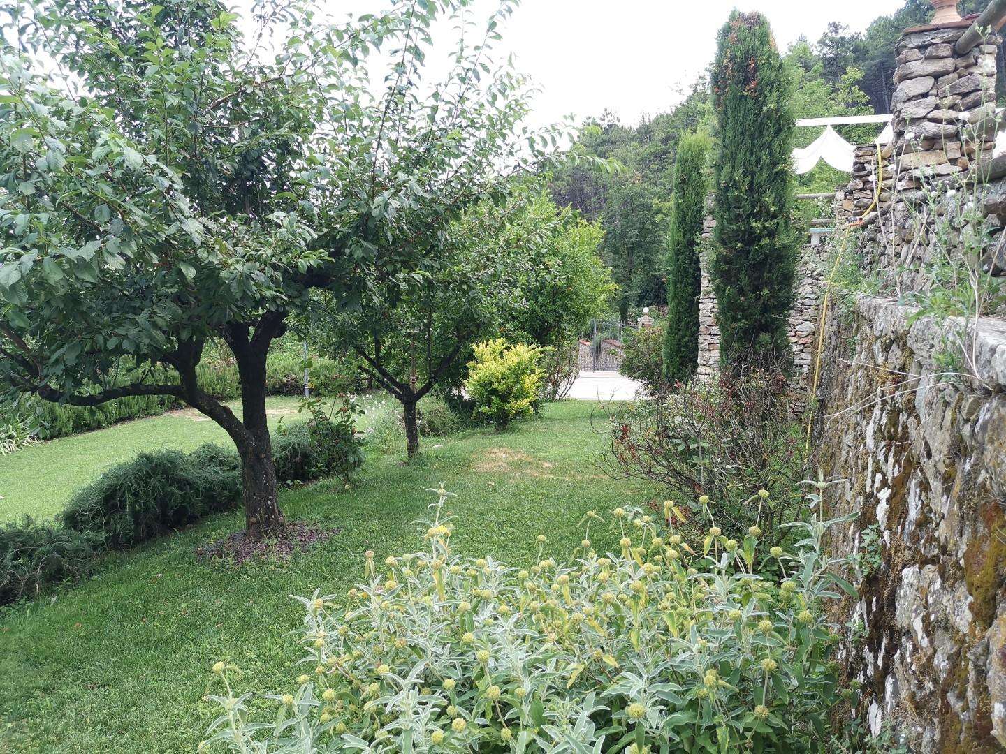  - foto 18