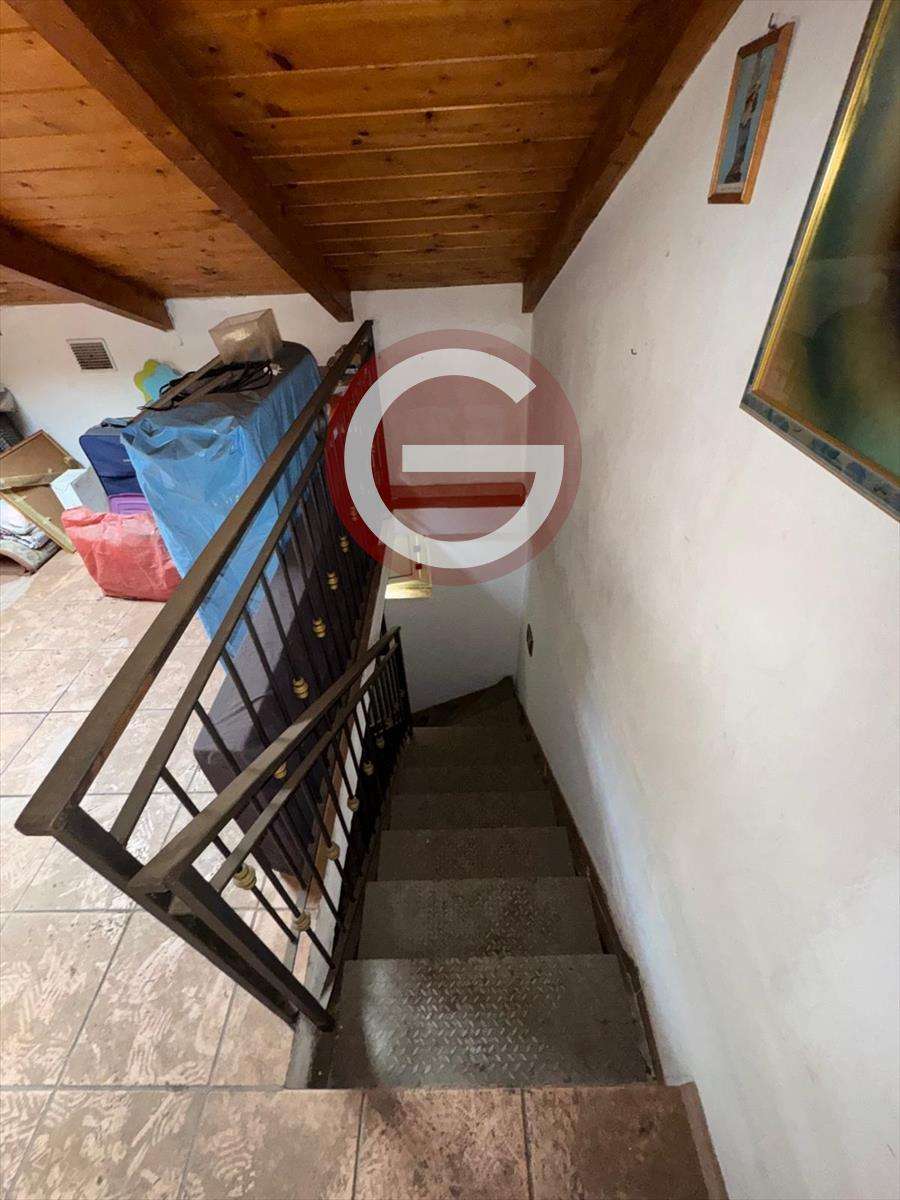  - foto 11