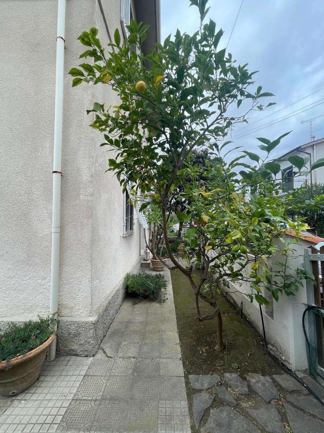  - foto 19