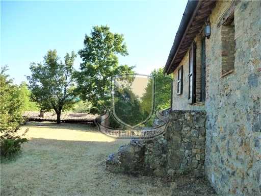  - foto 11