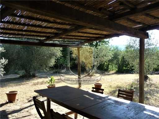  - foto 12