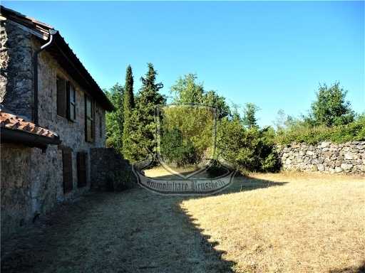  - foto 18