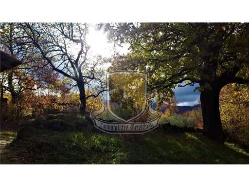  - foto 20