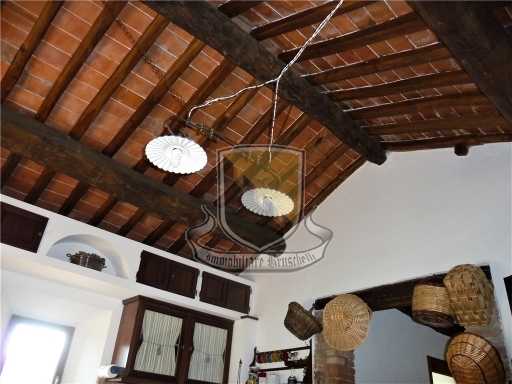  - foto 33