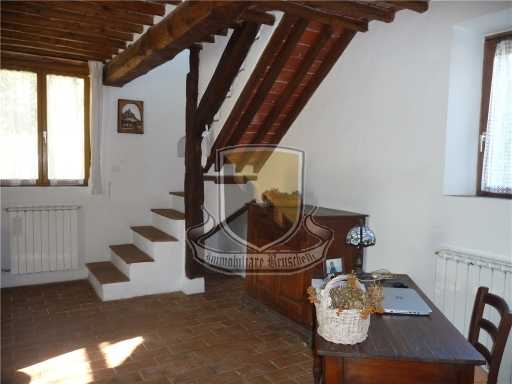  - foto 37