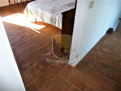  - foto 47