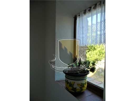  - foto 53