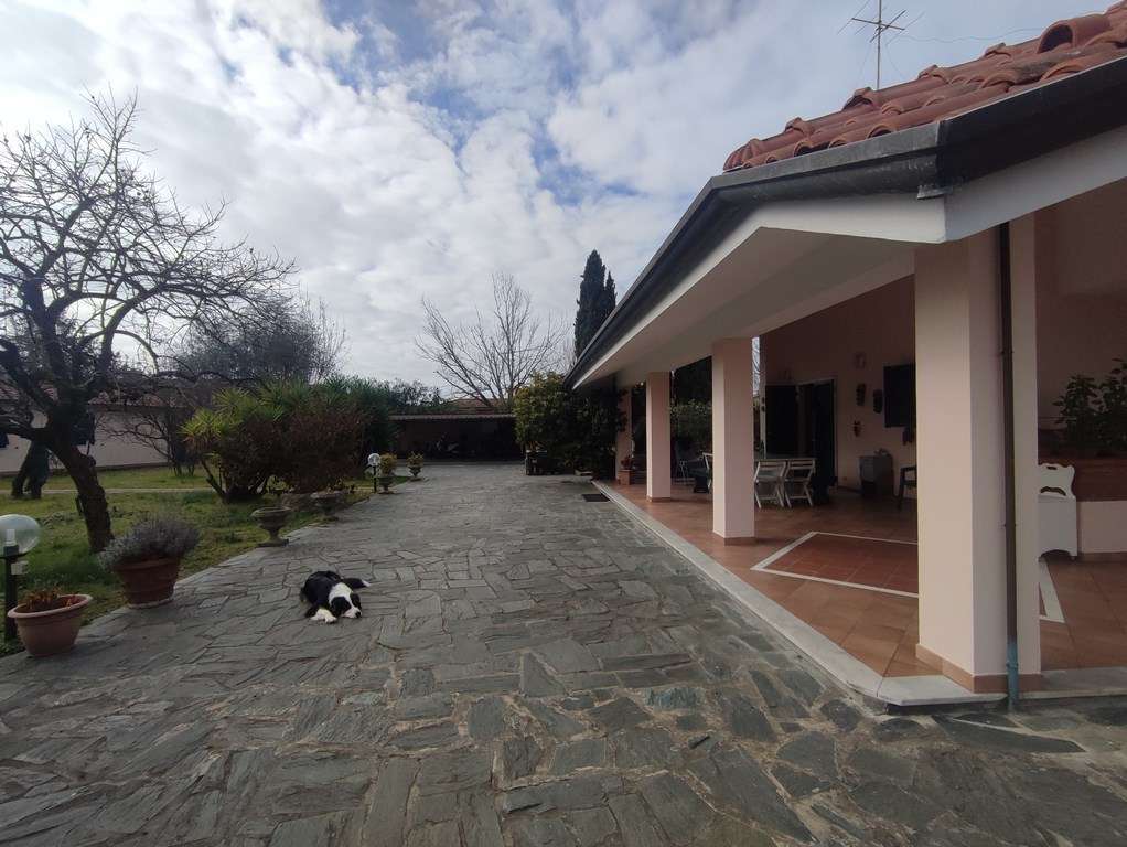  - foto 2