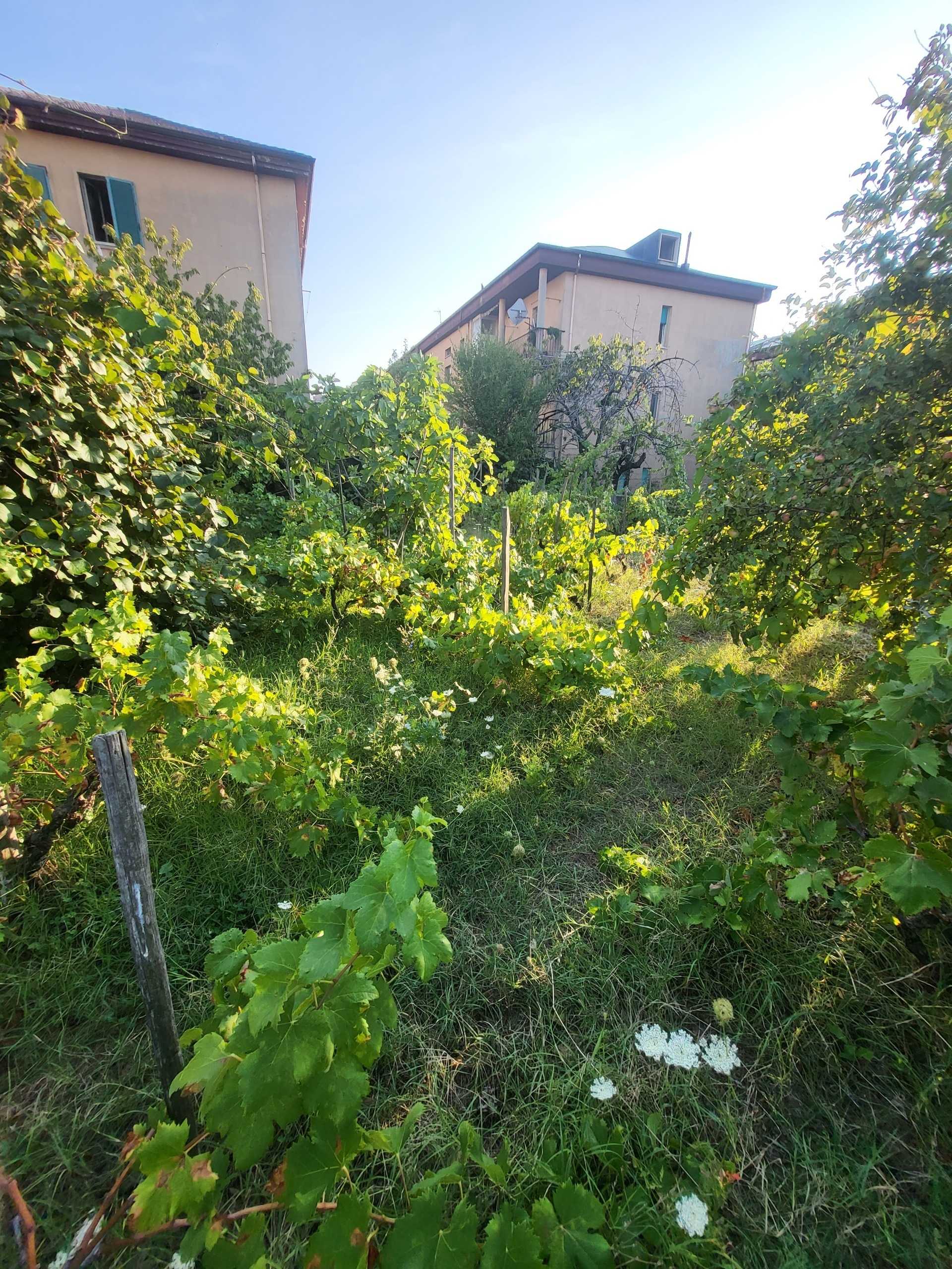 - foto 105