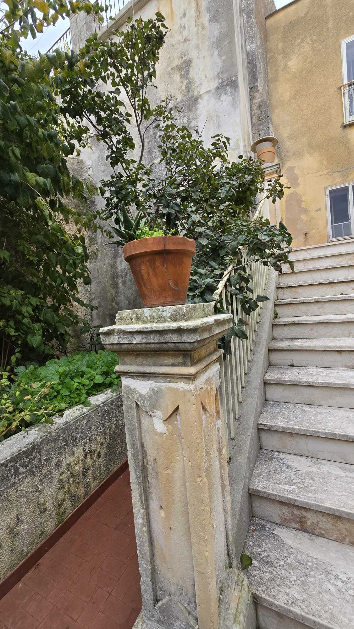  - foto 13