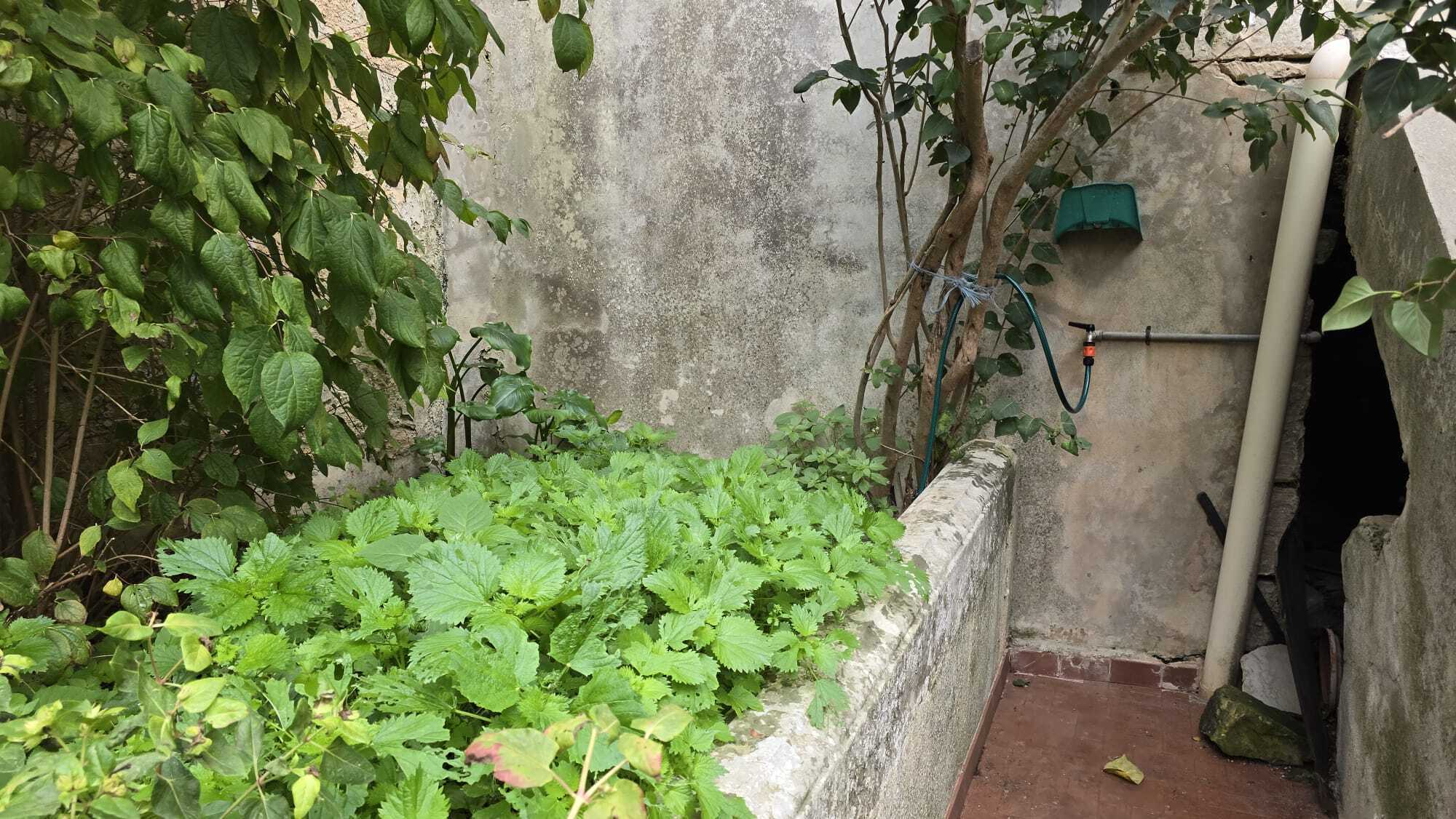  - foto 4