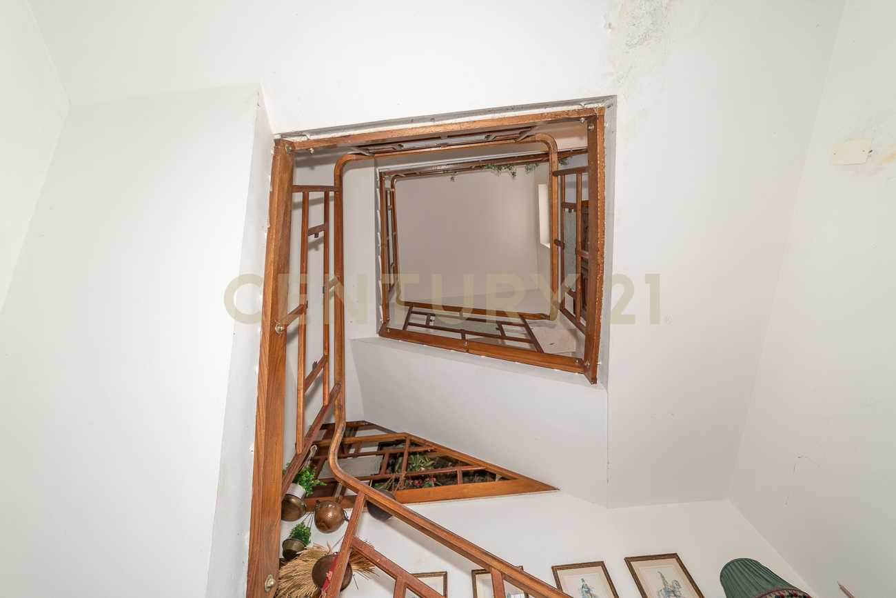  - foto 13