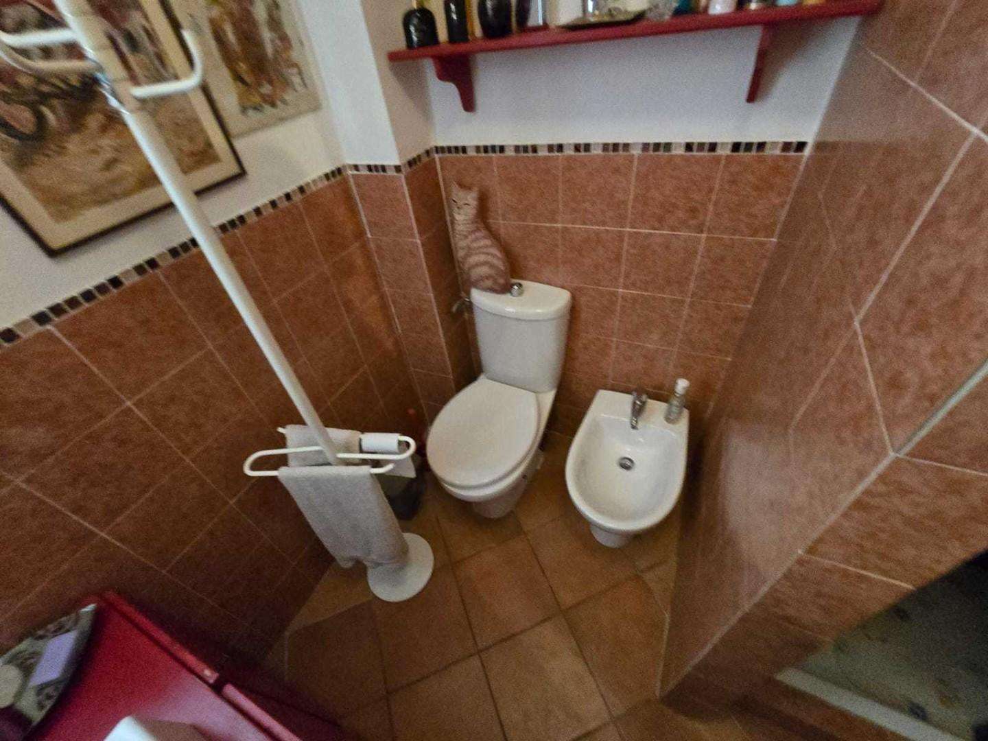  - foto 45