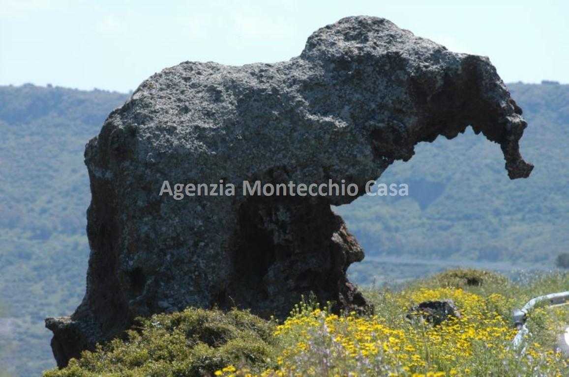  - foto 20