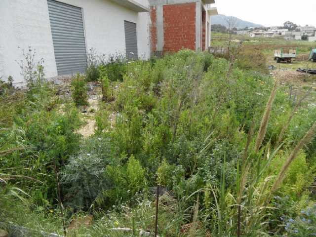  - foto 5