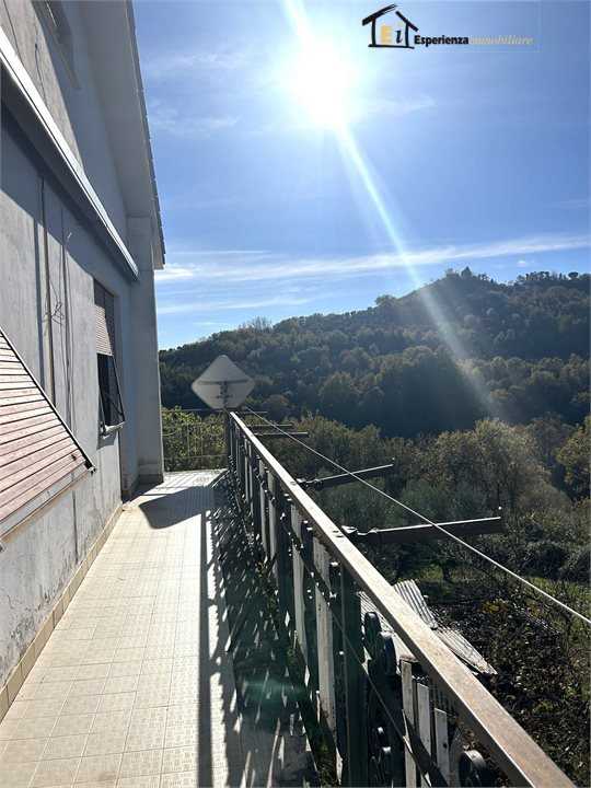  - foto 2
