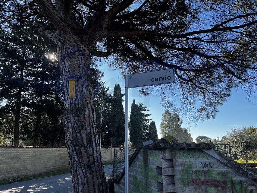  - foto 6