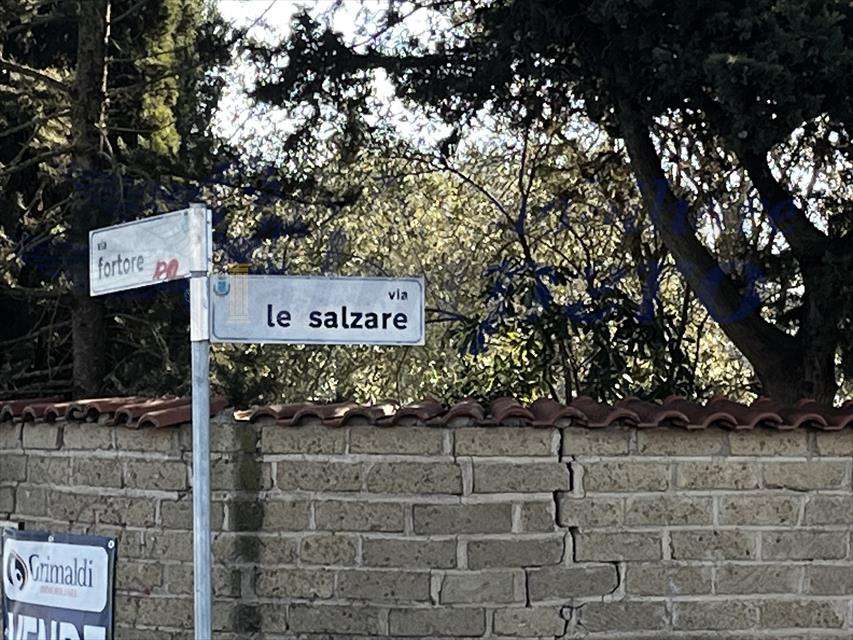  - foto 7