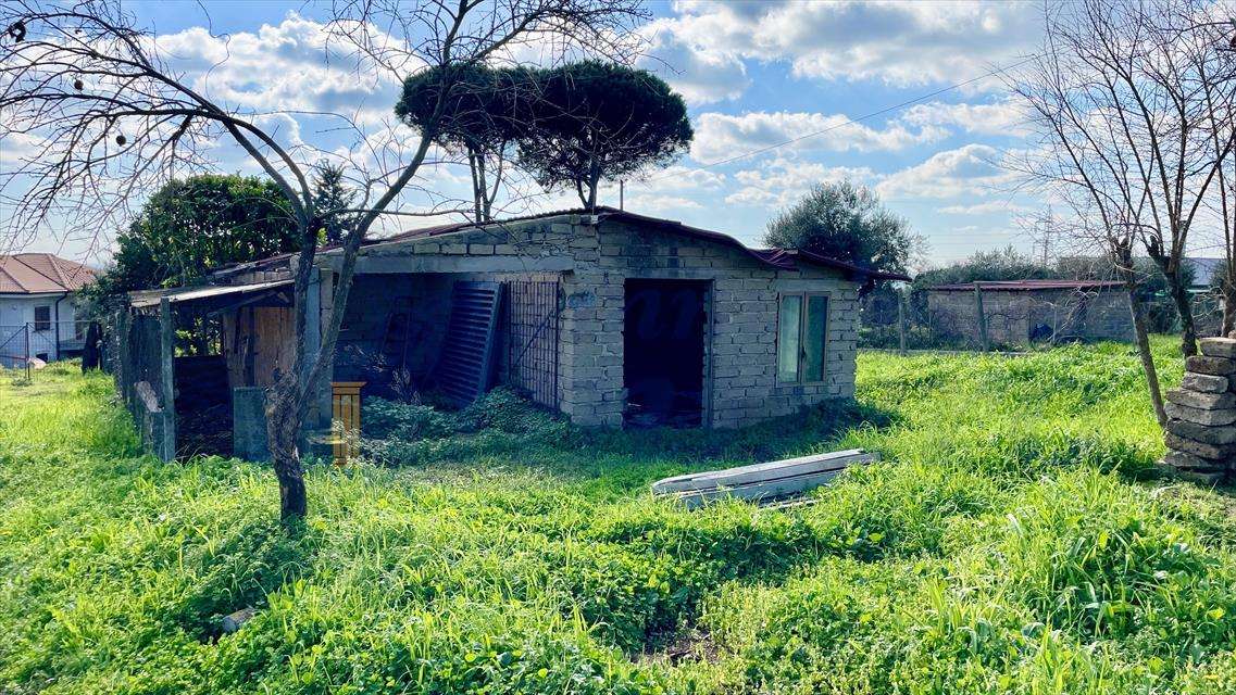  - foto 4