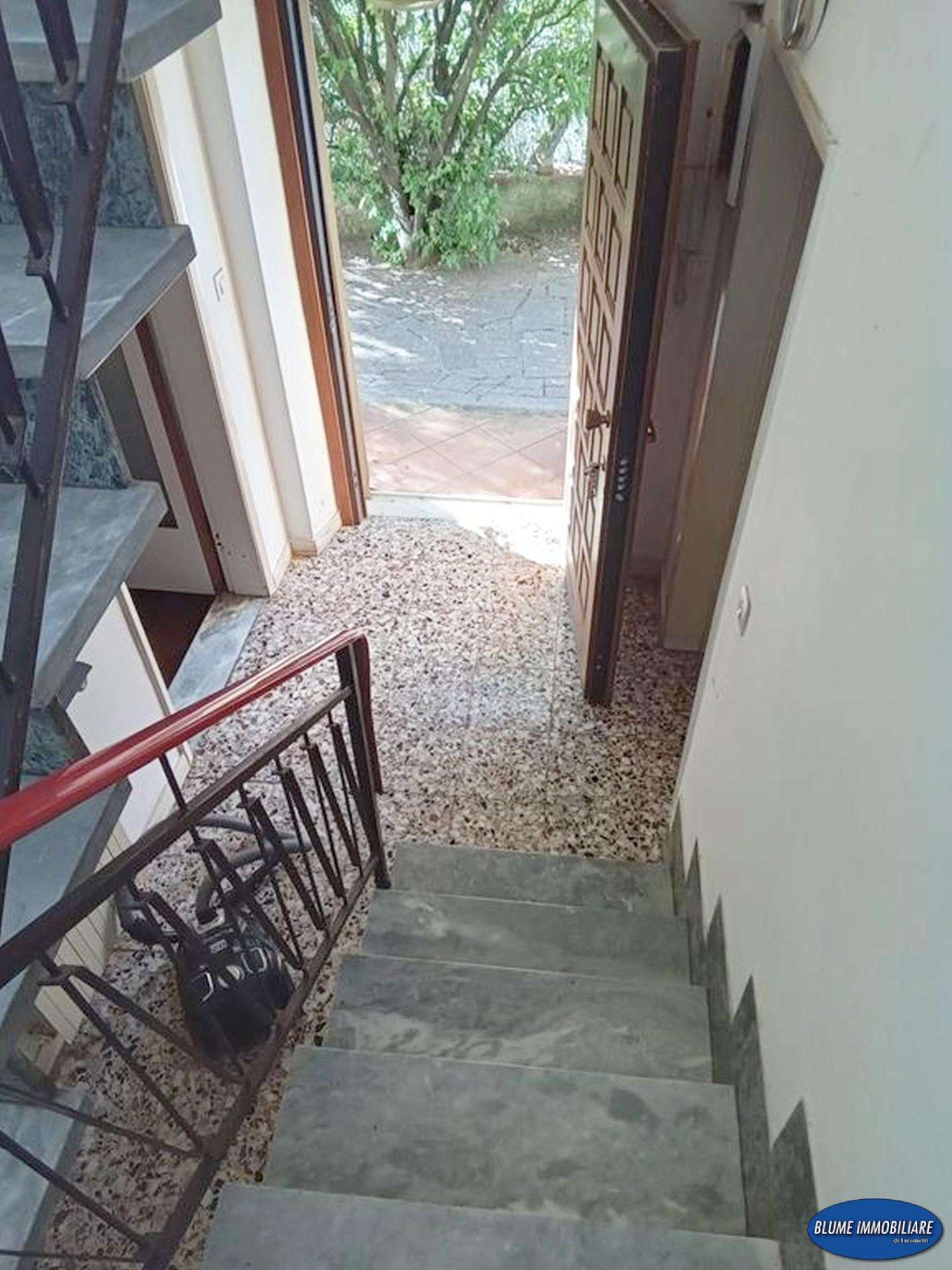  - foto 19