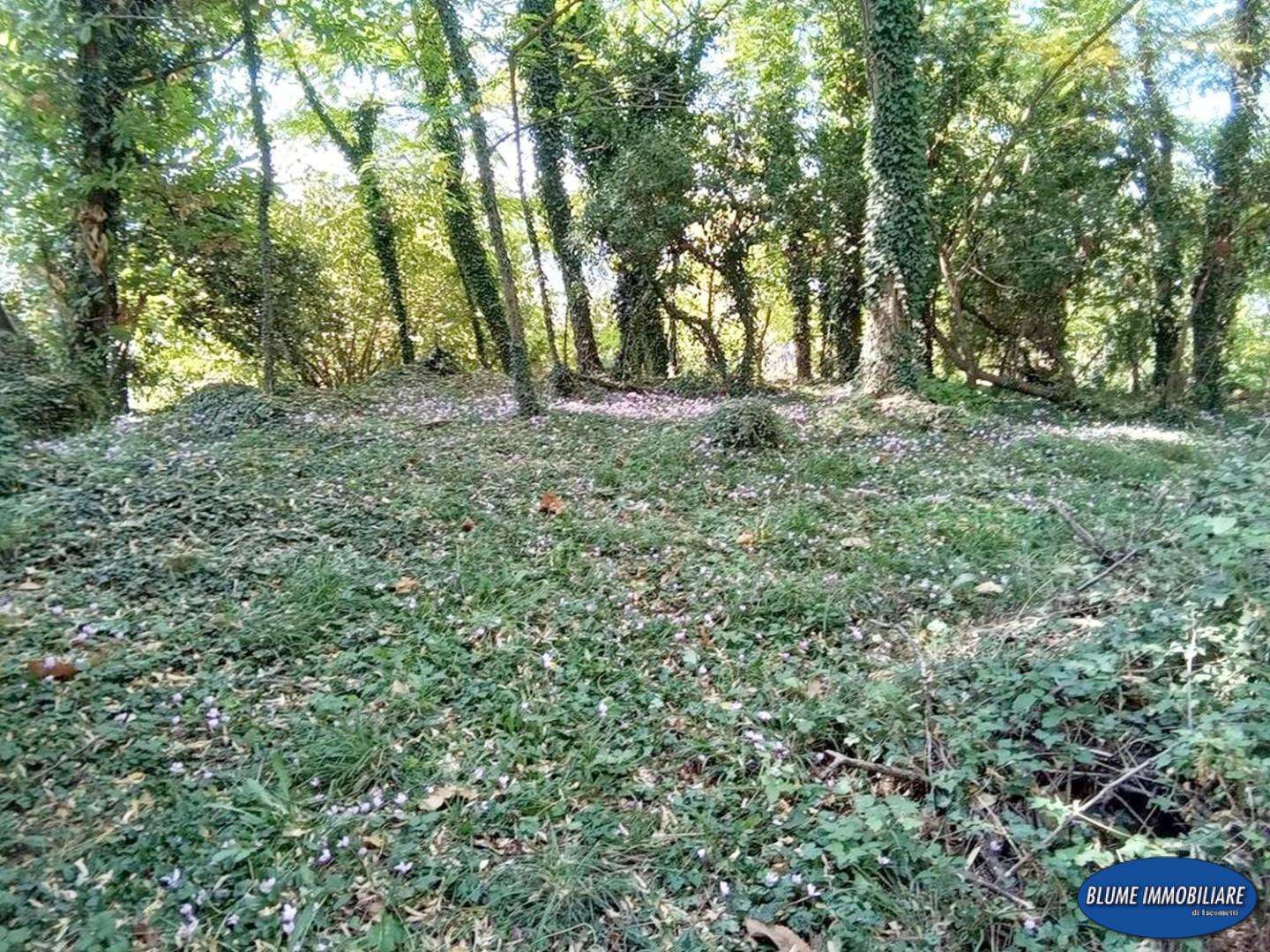  - foto 39