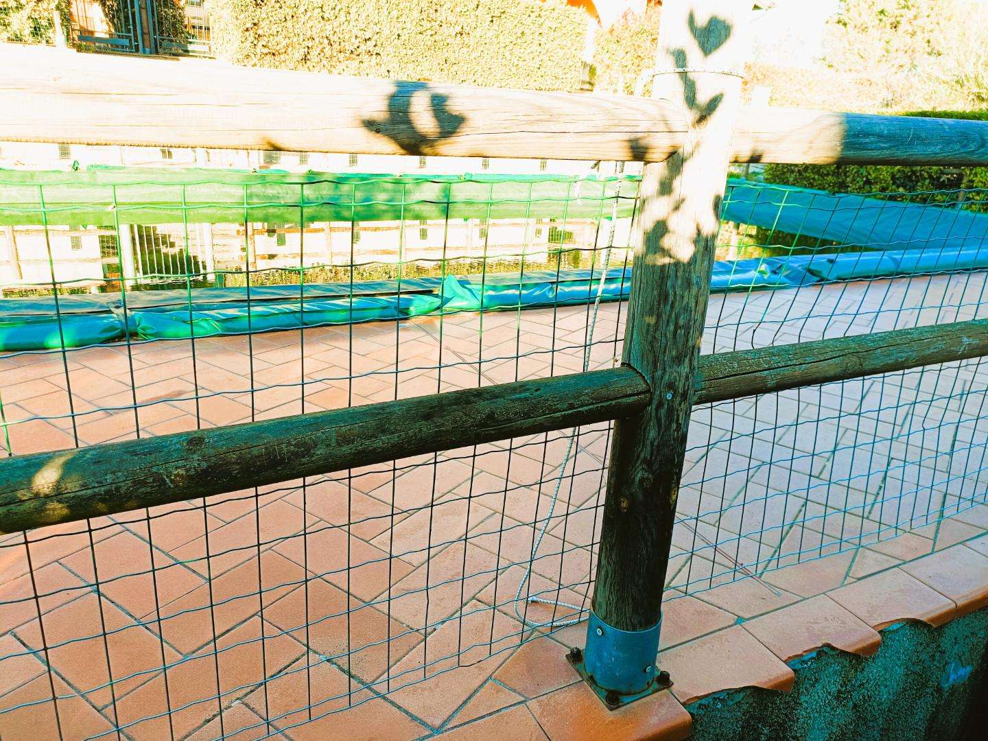  - foto 22