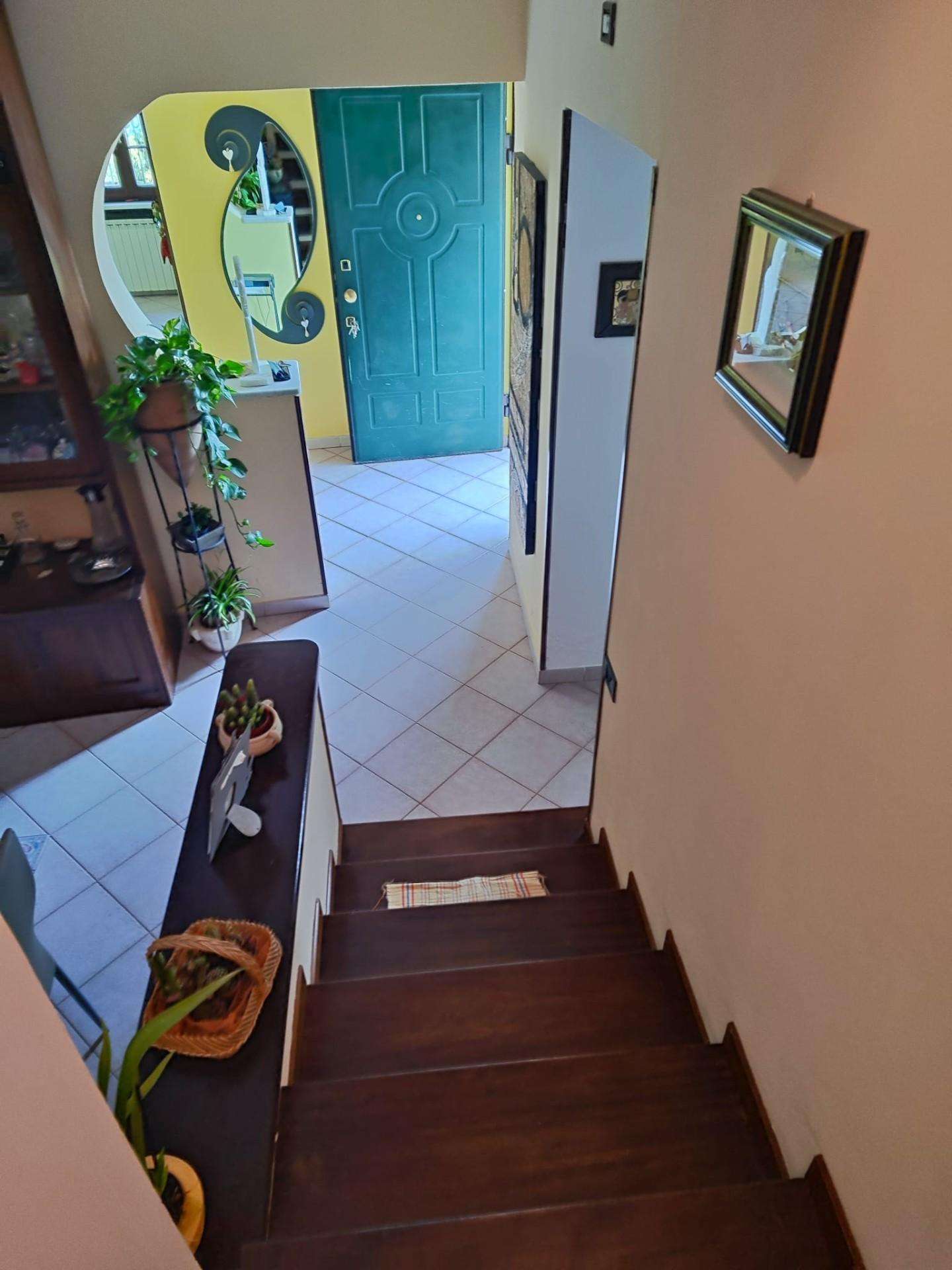  - foto 15