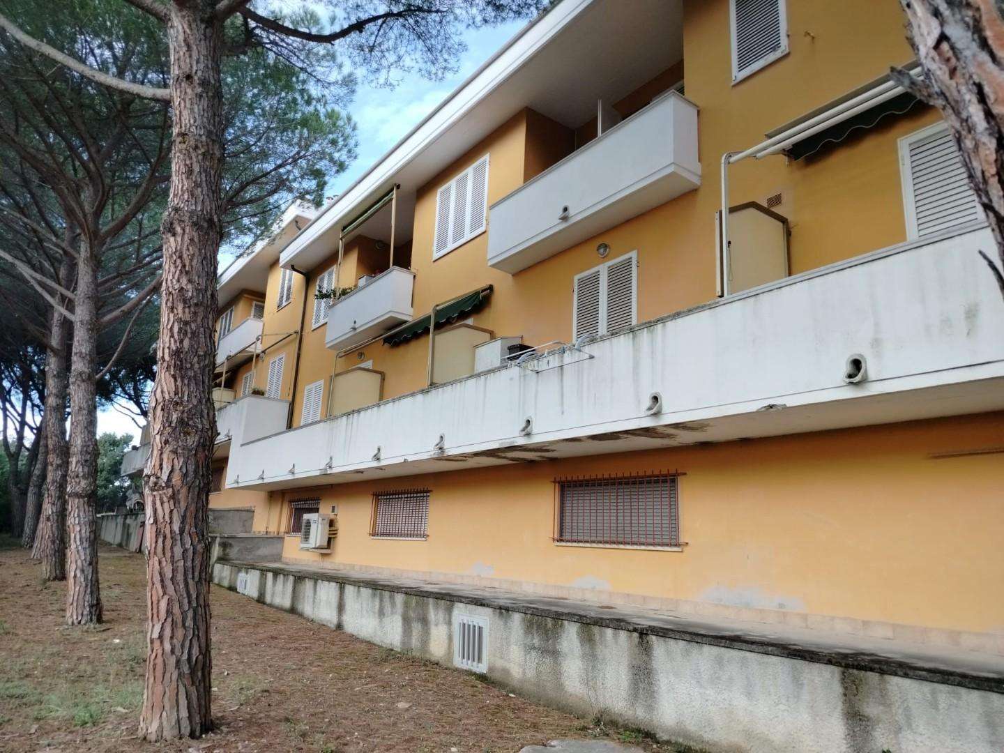  - foto 17
