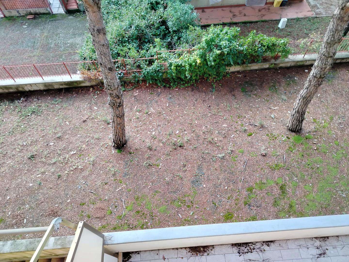  - foto 23