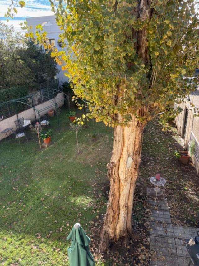  - foto 10