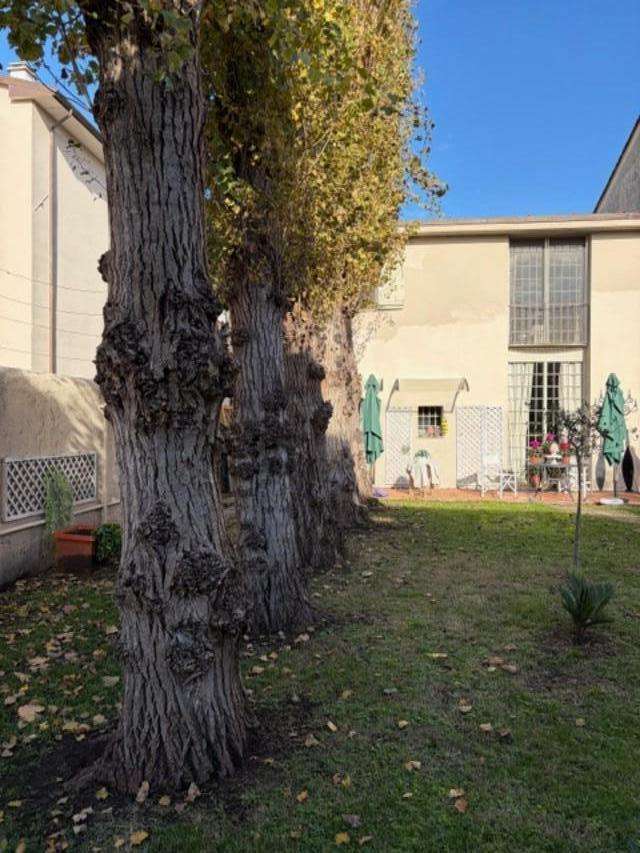  - foto 4