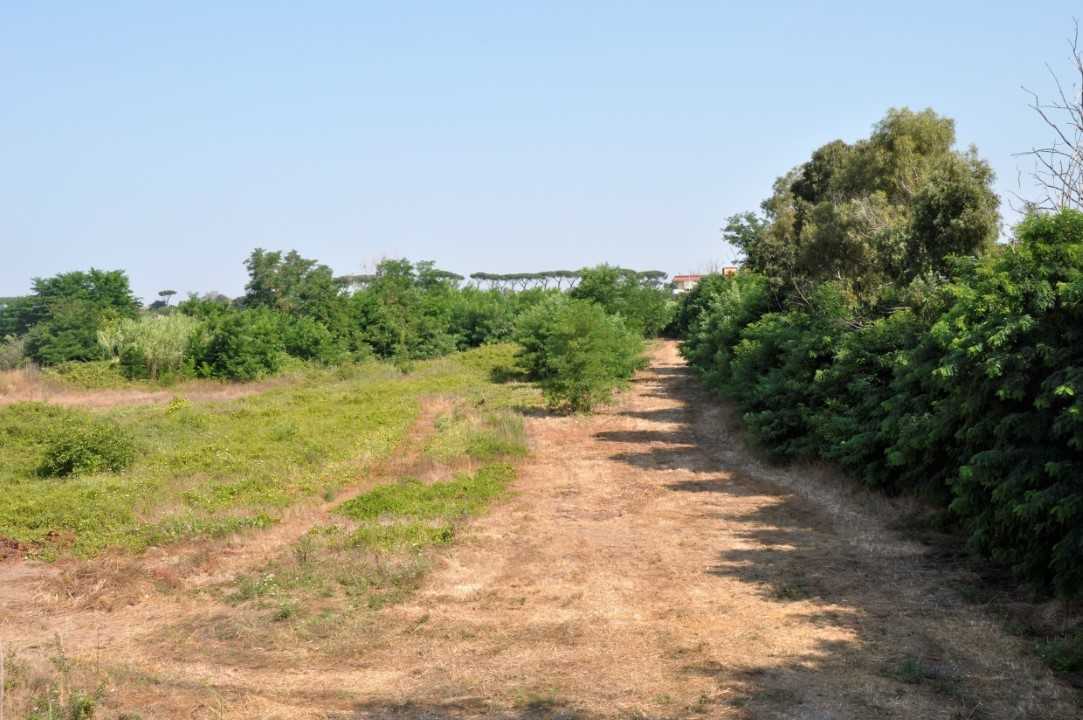  - foto 6