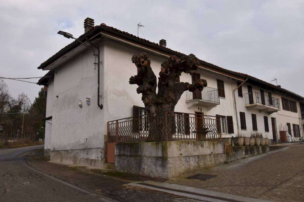 - foto 2