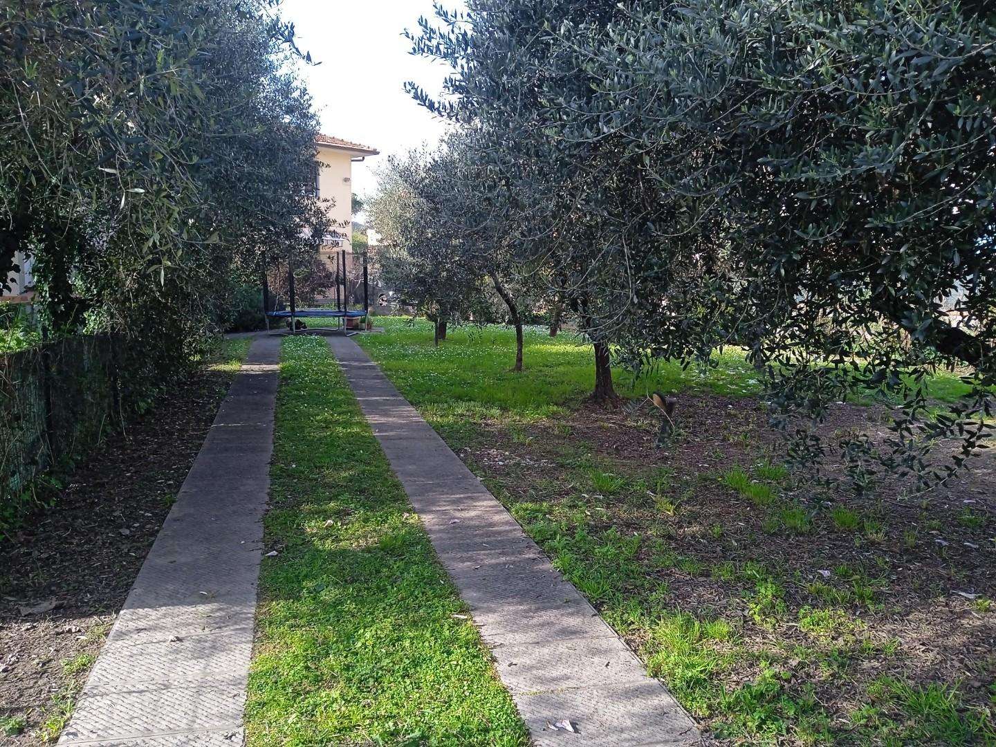  - foto 14