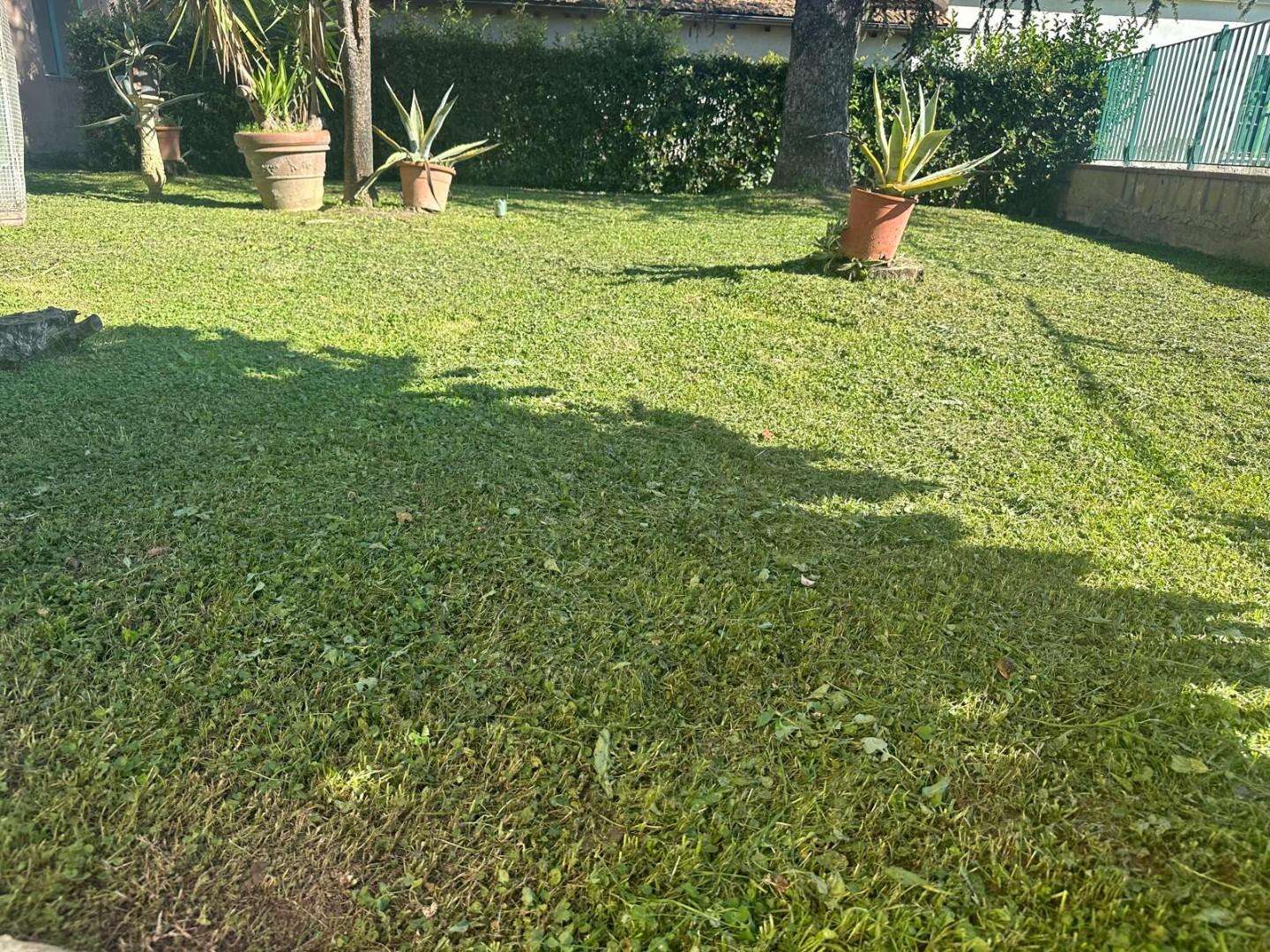  - foto 43