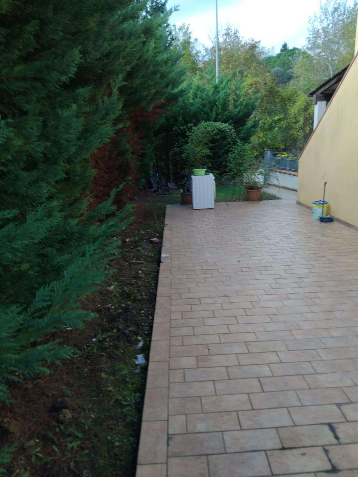  - foto 11