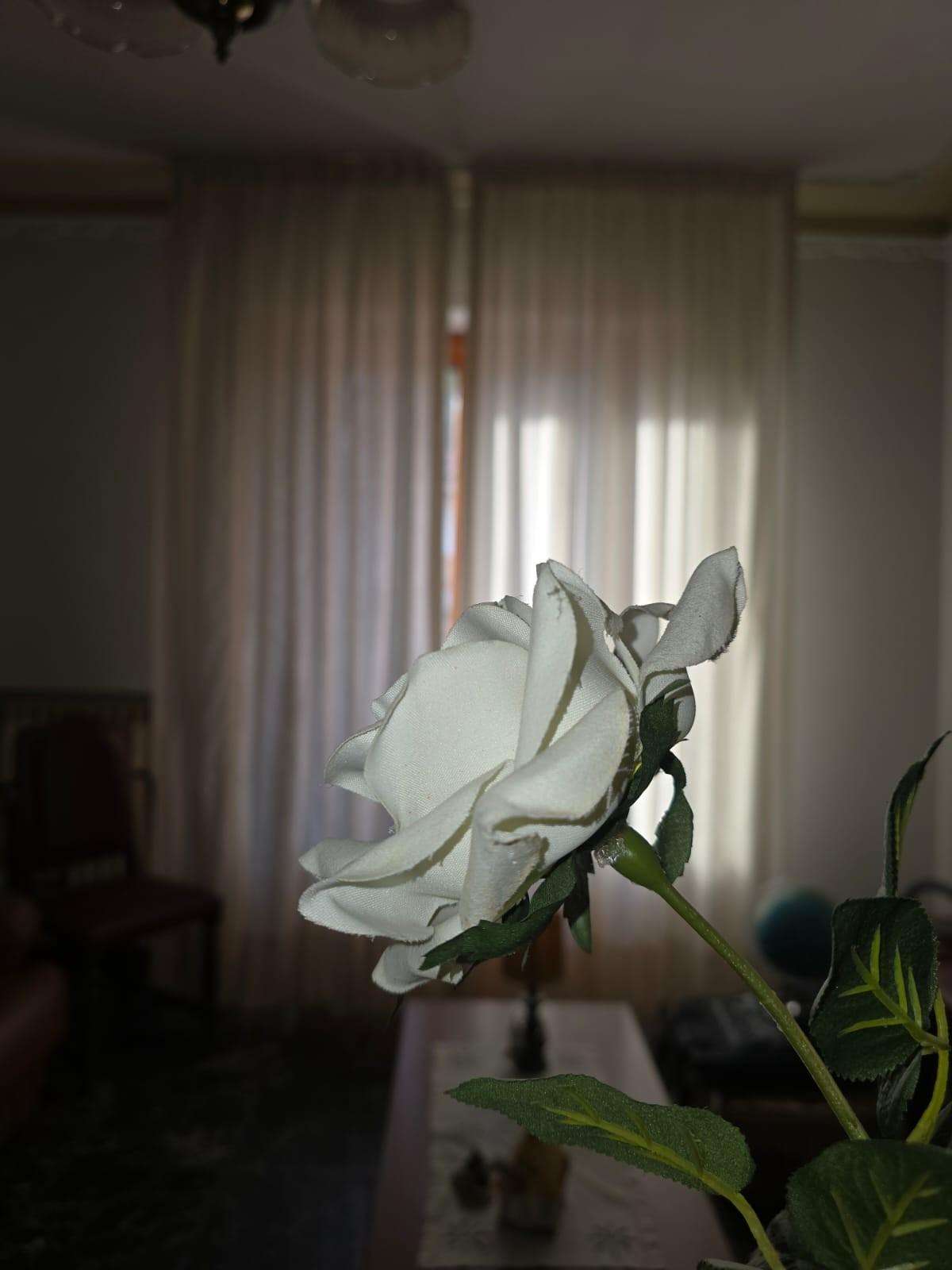  - foto 10