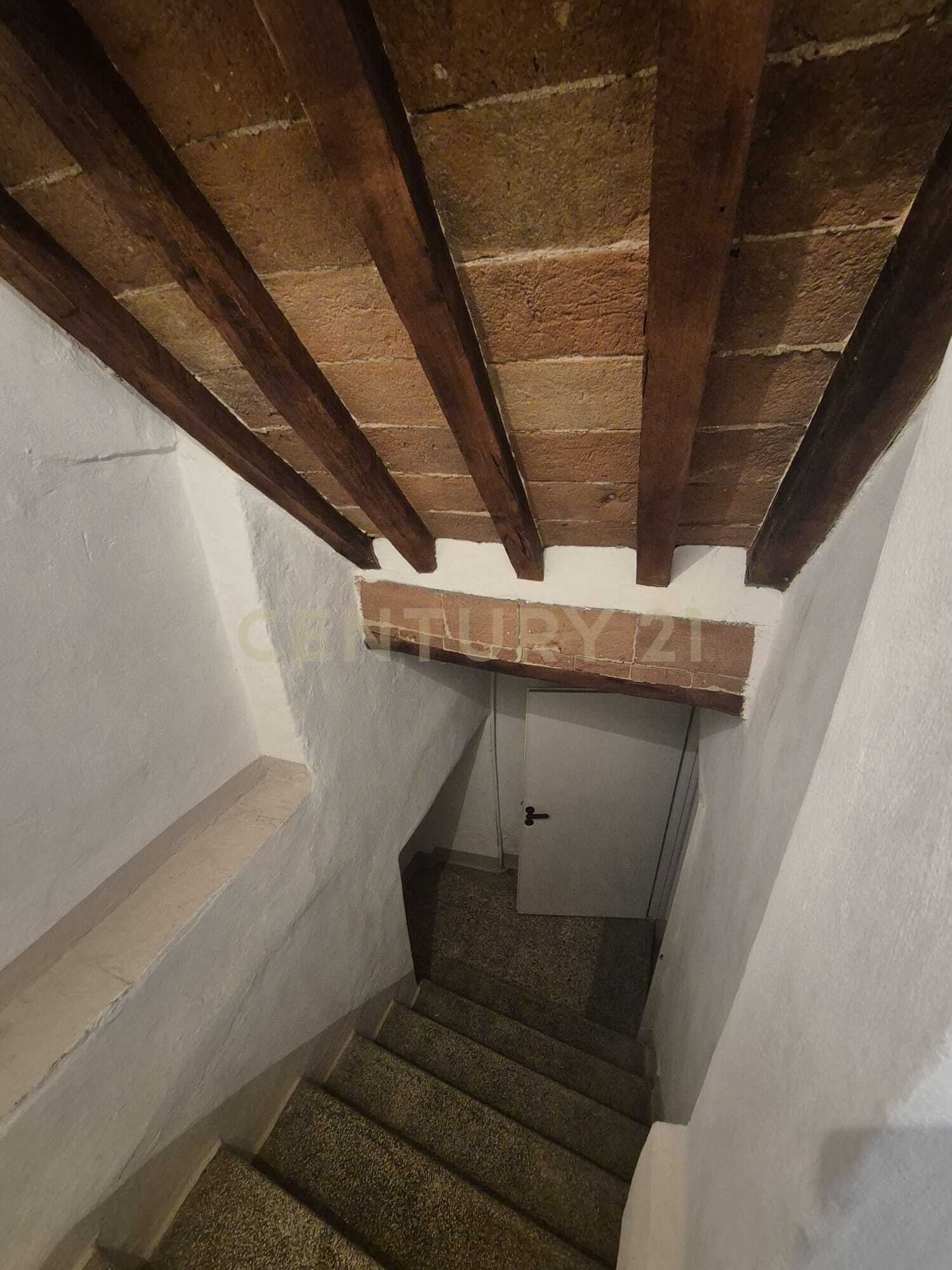 - foto 14