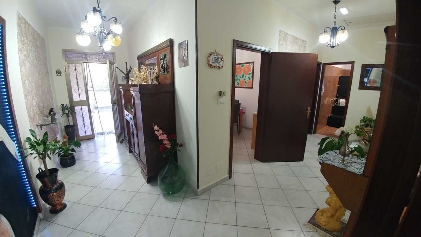  - foto 24