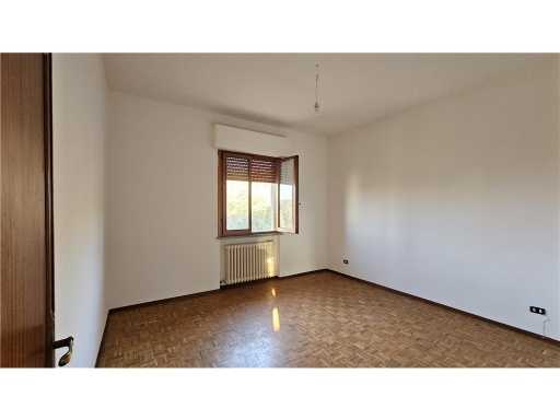  - foto 13