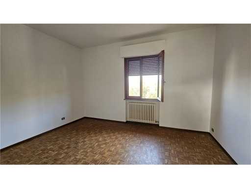  - foto 15