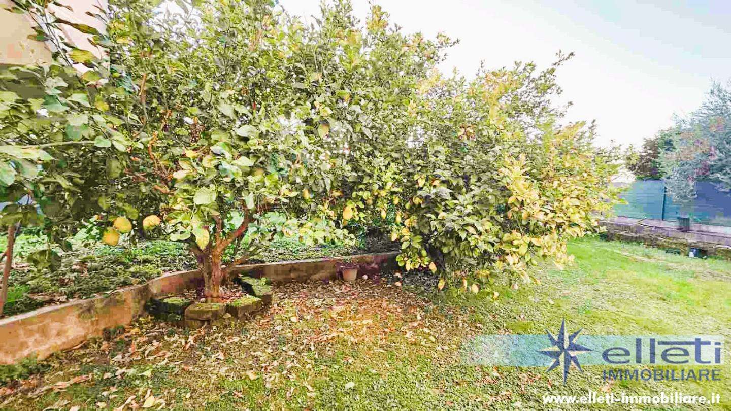  - foto 23