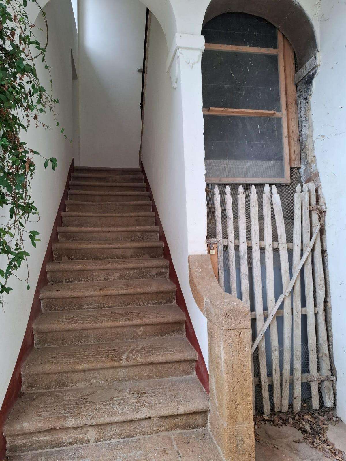  - foto 11