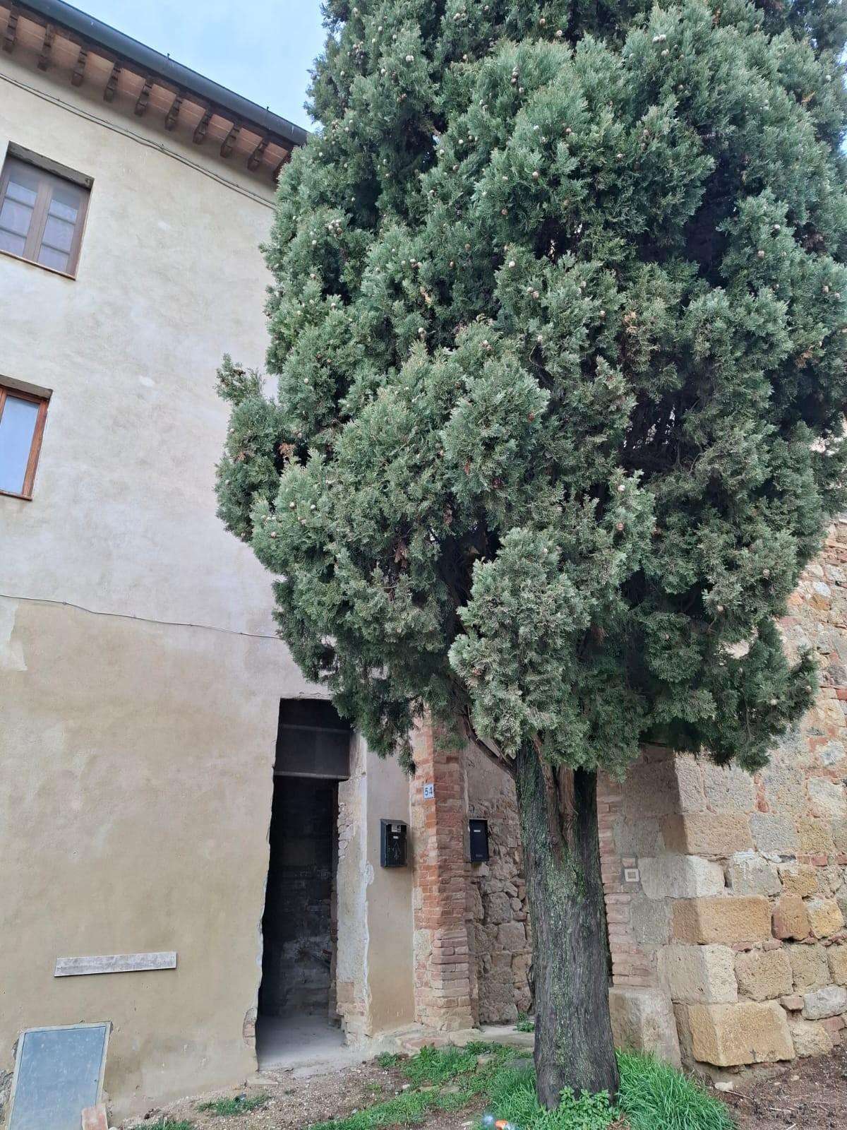  - foto 9