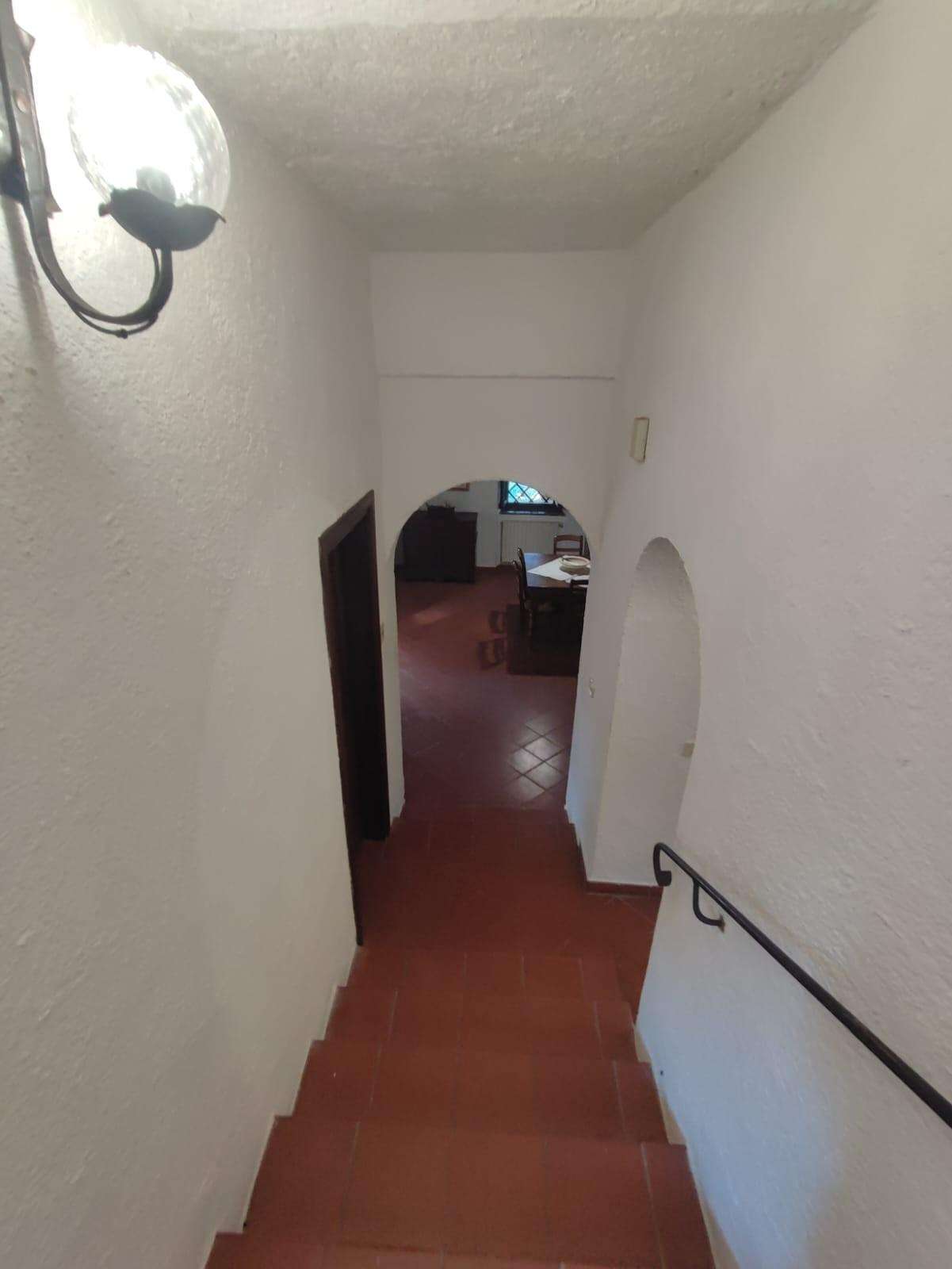  - foto 17