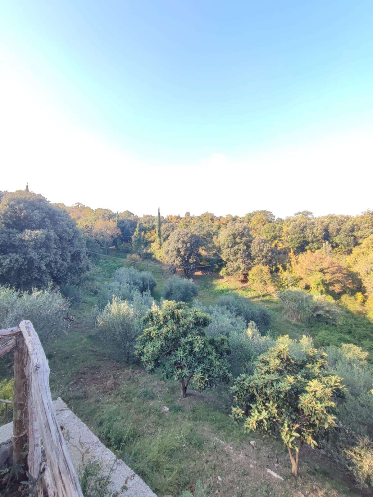  - foto 38