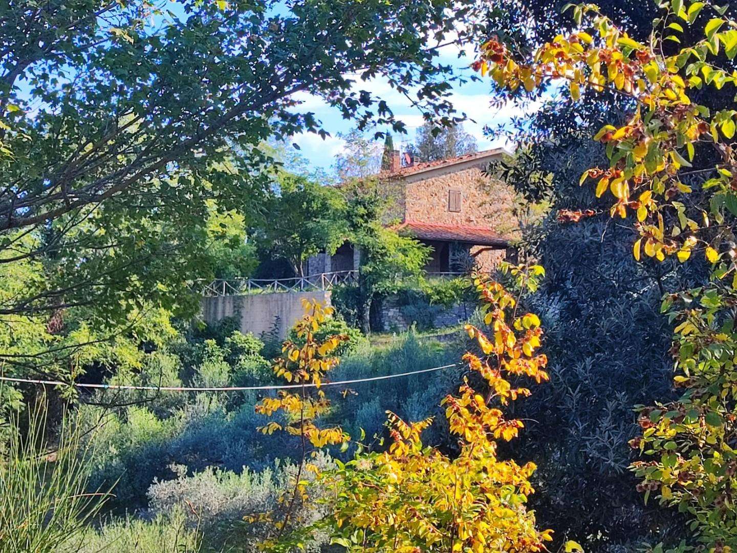  - foto 5