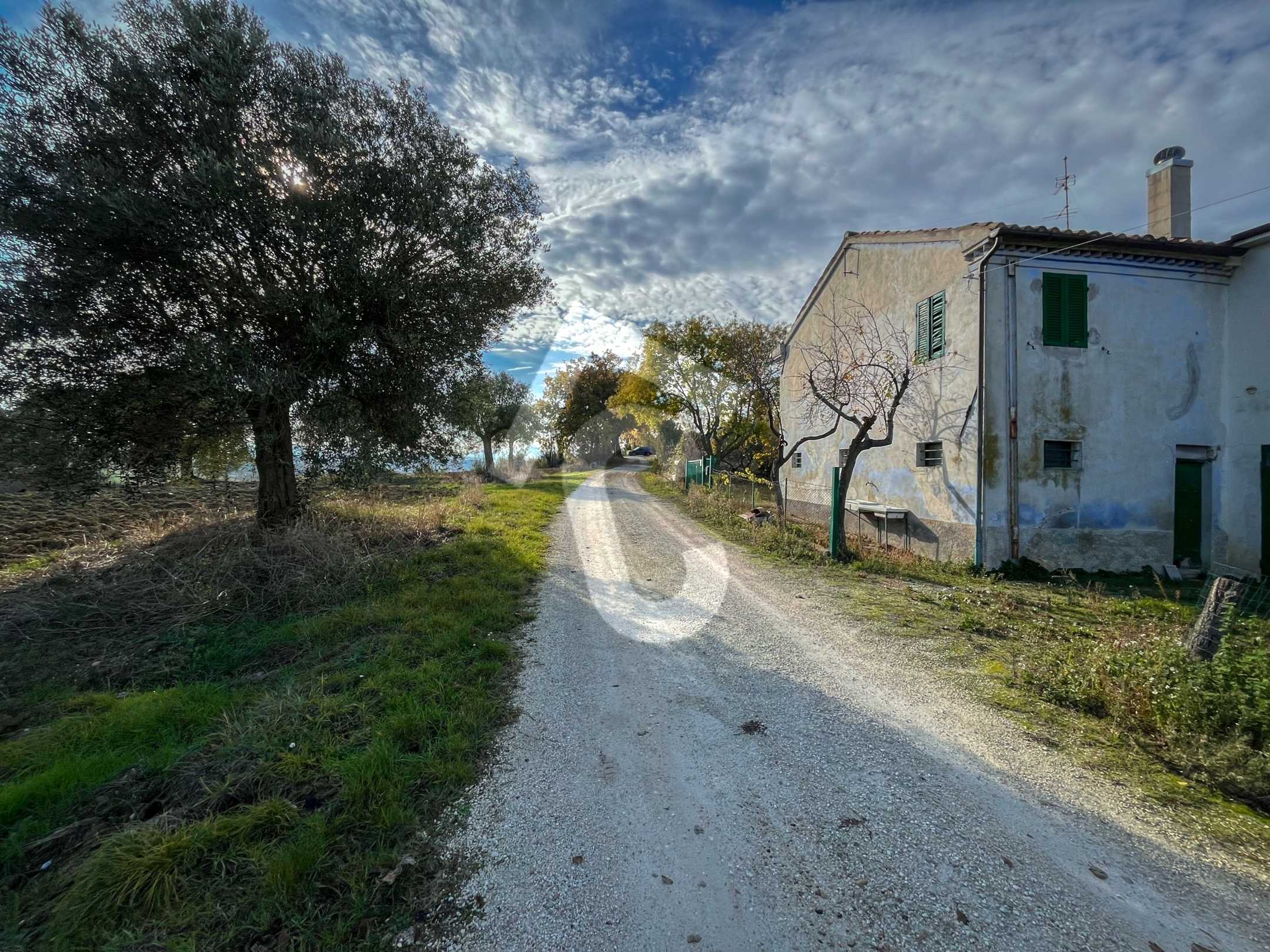  - foto 31