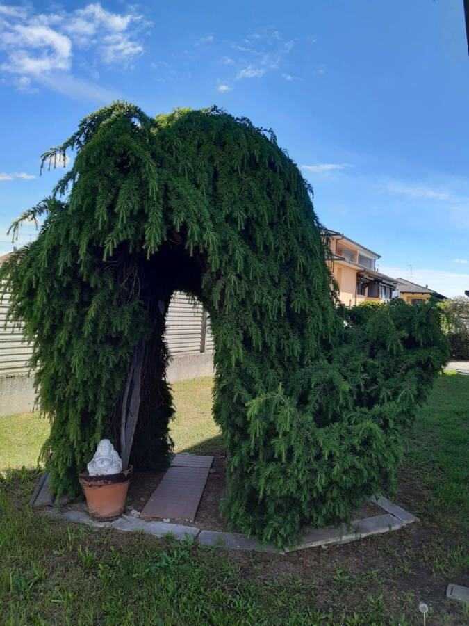  - foto 10
